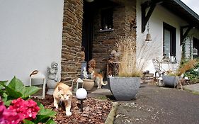 B&B Au Coq En Pate